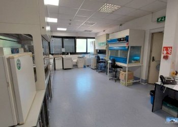 Interno non residenziale - Shed Lessolo - photo 7