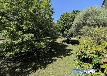 Giardino - Villa via Adamello 8, Ivrea - foto 37