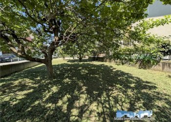 Giardino - Villa via Adamello 8, Ivrea - foto 38