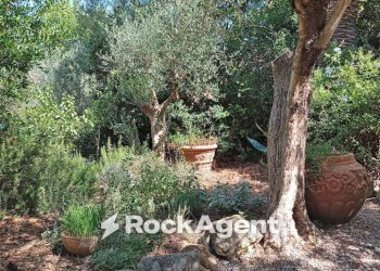Giardino - Rustico strada Provinciale Bolgherese, Castagneto Carducci - foto 31