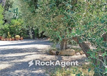 Terreno - Rustico strada Provinciale Bolgherese, Castagneto Carducci - foto 34