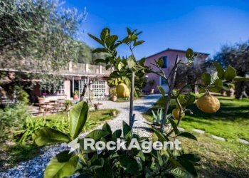Giardino - Villa via della Colombaia, 17, Massarosa - photo 1