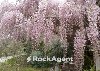 Giardino - Villa via della Colombaia, 17, Massarosa - photo 26