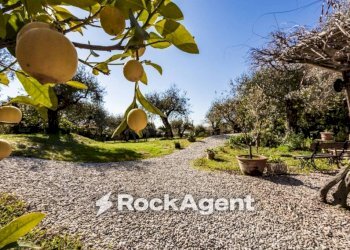 Giardino - Villa via della Colombaia, 17, Massarosa - photo 27
