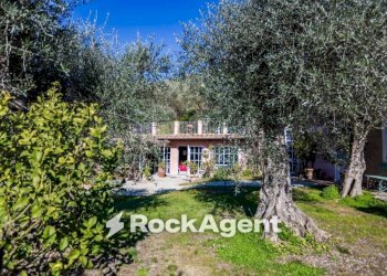 Giardino - Villa via della Colombaia, 17, Massarosa - photo 35