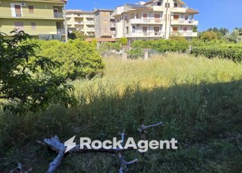 Terreno - Casa indipendente contrada Vasì, Caulonia - foto 8