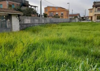 Terreno - Terreno edificabile via Tirso, Nettuno - foto 3