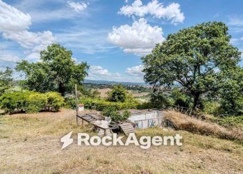 Terreno - Villa strada Della Poggetta, Castiglione in Teverina - foto 22