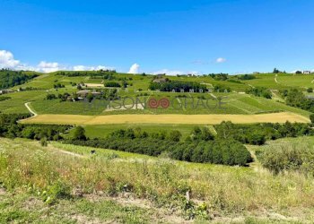 Terreno - Rustico via Maestra, 56, Coazzolo - foto 8