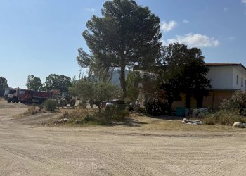 Appartamento Torpè - foto 11