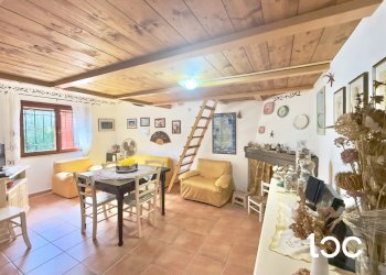 Villa a Schiera San Teodoro - foto 3