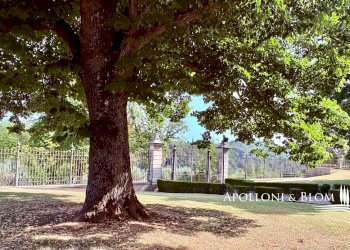 Appartamento SP95, 65, Poggibonsi - foto 38