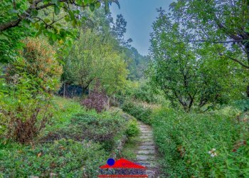 Terreno edificabile Via Picco San Michele, 7, Dronero - foto 26
