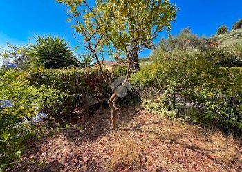 Villa a Schiera Via ciosa, Costarainera - foto 10