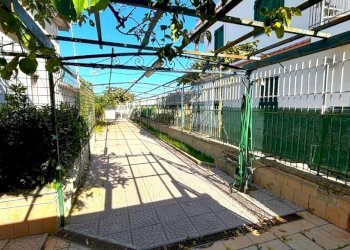 Independent house Mondragone - photo 14