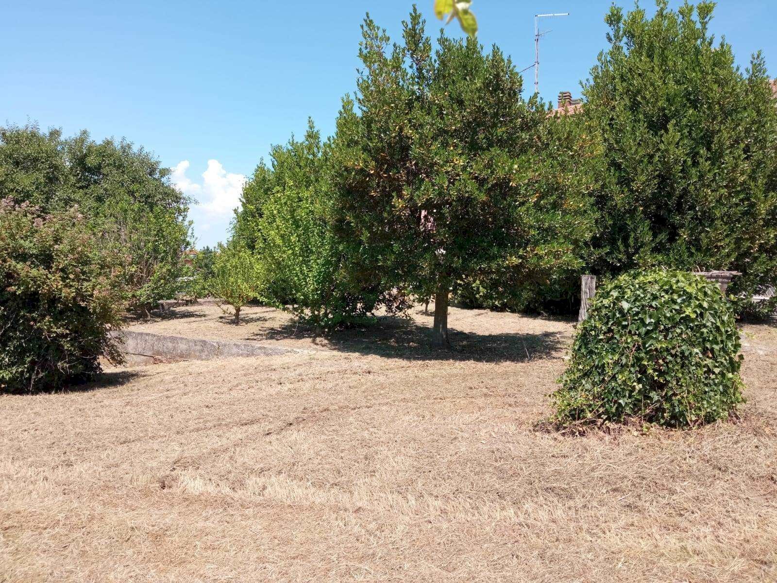 Villa -, Vetralla - photo 3