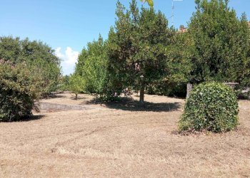 Villa -, Vetralla - photo 3