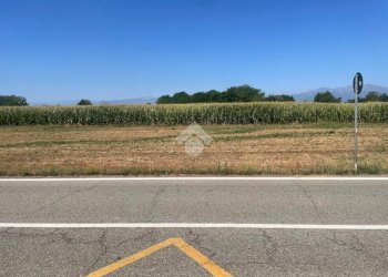 Terreno edificabile Via Dante, Foglizzo - foto 6