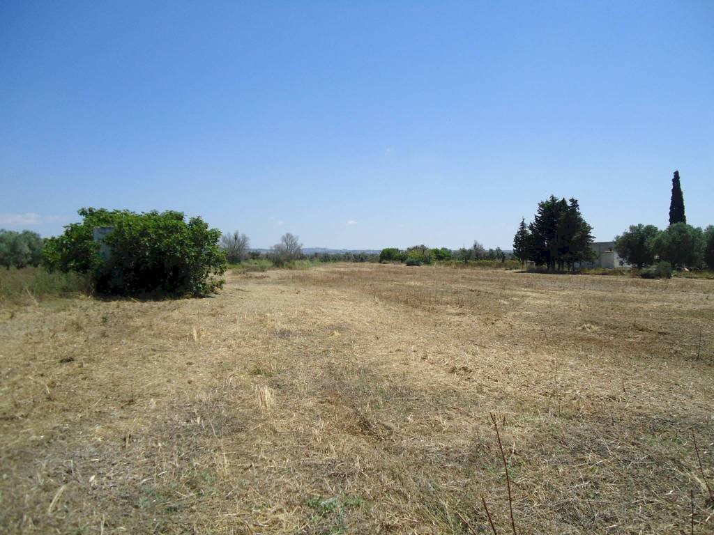 Terreno - Terreno edificabile strada Vicinale Iala, Parabita - foto 2