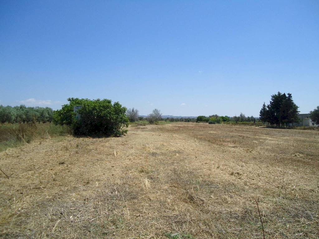 Terreno - Terreno edificabile strada Vicinale Iala, Parabita - foto 3