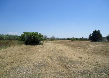 Terreno - Terreno edificabile strada Vicinale Iala, Parabita - foto 3