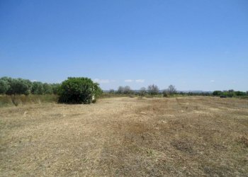 Terreno - Terreno edificabile strada Vicinale Iala, Parabita - foto 4
