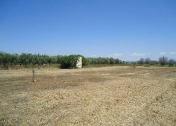 Terreno - Terreno edificabile strada Vicinale Iala, Parabita - foto 6