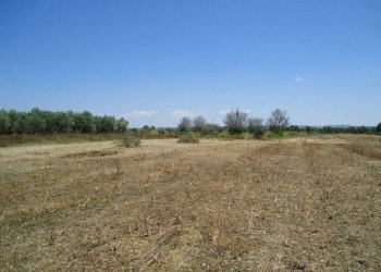 Terreno - Terreno edificabile strada Vicinale Iala, Parabita - foto 11