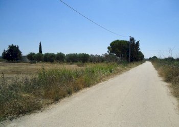 Terreno - Terreno edificabile strada Vicinale Iala, Parabita - foto 15