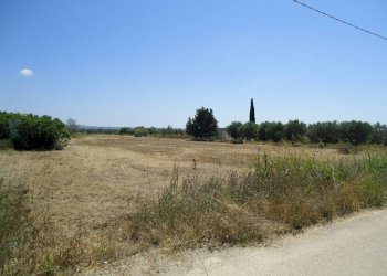 Terreno - Terreno edificabile strada Vicinale Iala, Parabita - foto 16