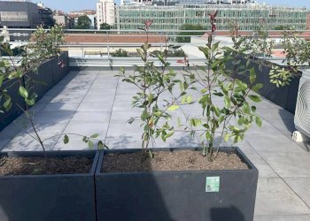 Terrazzo - Attico via Don Bartolomeo Grazioli, 57, Milano (zona Affori) - foto 9