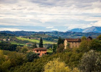 Vista - Villa a Schiera via Roddino, 20, Monforte d'Alba - foto 41