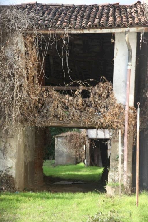 Facciata - Casa indipendente via Camillo Benso di Cavour, 53, Rosate - foto 2