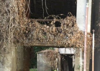 Facciata - Casa indipendente via Camillo Benso di Cavour, 53, Rosate - foto 2
