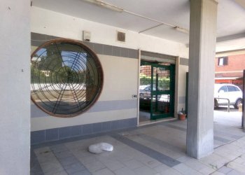 Portico - Shop viale Adriatico, 26, Anzio - photo 6