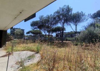 Giardino 2. - Bilocale via Alessandro Ruspoli, Roma (zona Acilia) - foto 20