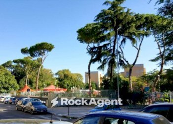 Zona - Shop via Ignazio Giorgi, Roma - photo 4