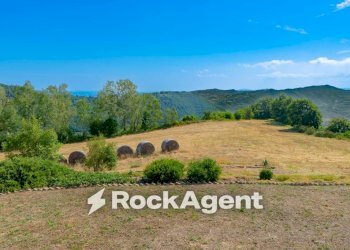 Terreno - Villa Regione Chiazze, 16, Denice - foto 38