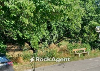Zona - Villa Roncitelli, AN, Senigallia - foto 17