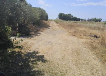 Terreno - Appartamento contrada Favaco, Stignano - foto 14