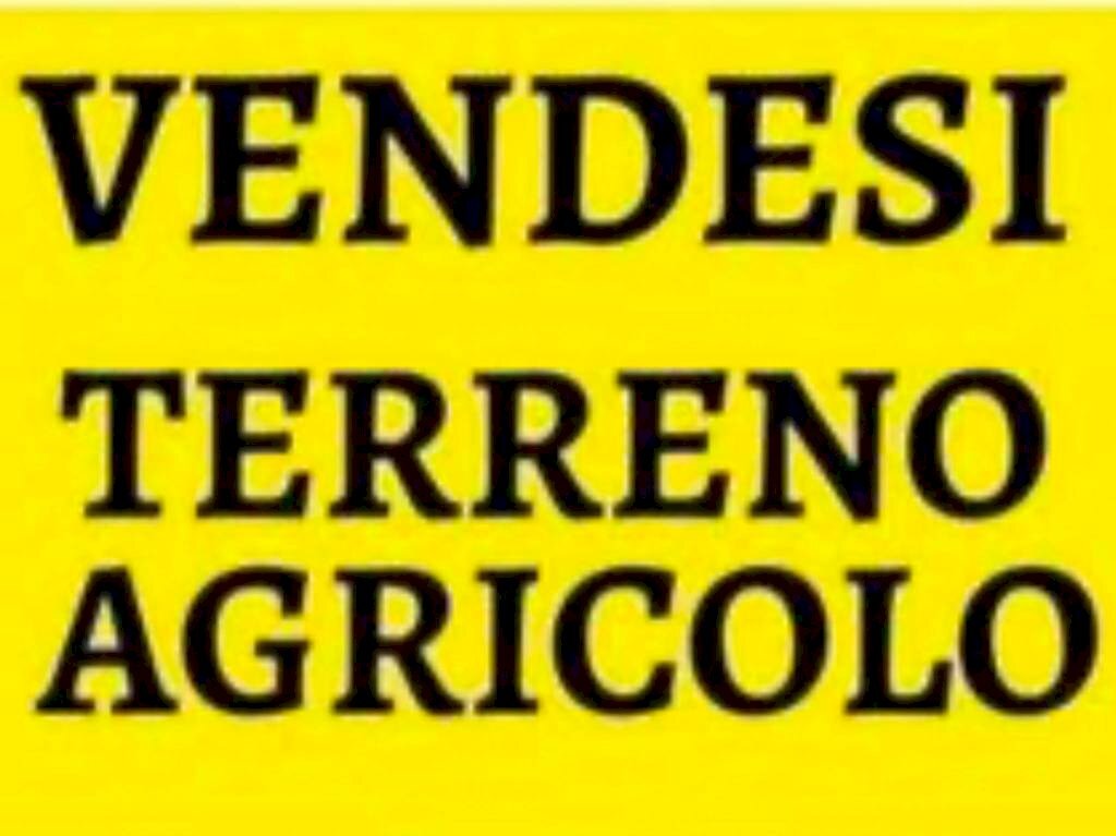 Altro - Agricultural land via Arezzo, Massa - photo 1