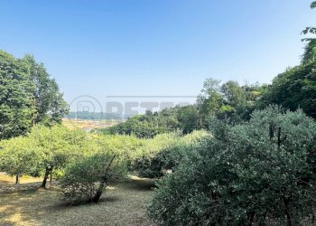 uliveto - Agricultural land Via Bazziola, Monteviale - photo 15