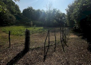 terreno seminativo - Agricultural land Via Bazziola, Monteviale - photo 20