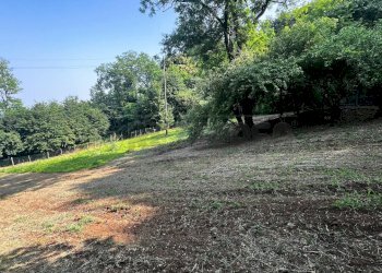 terreno seminativo - Agricultural land Via Bazziola, Monteviale - photo 22
