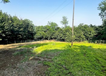 terreno seminativo - Agricultural land Via Bazziola, Monteviale - photo 23