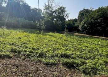 terreno seminativo - Agricultural land Via Bazziola, Monteviale - photo 25