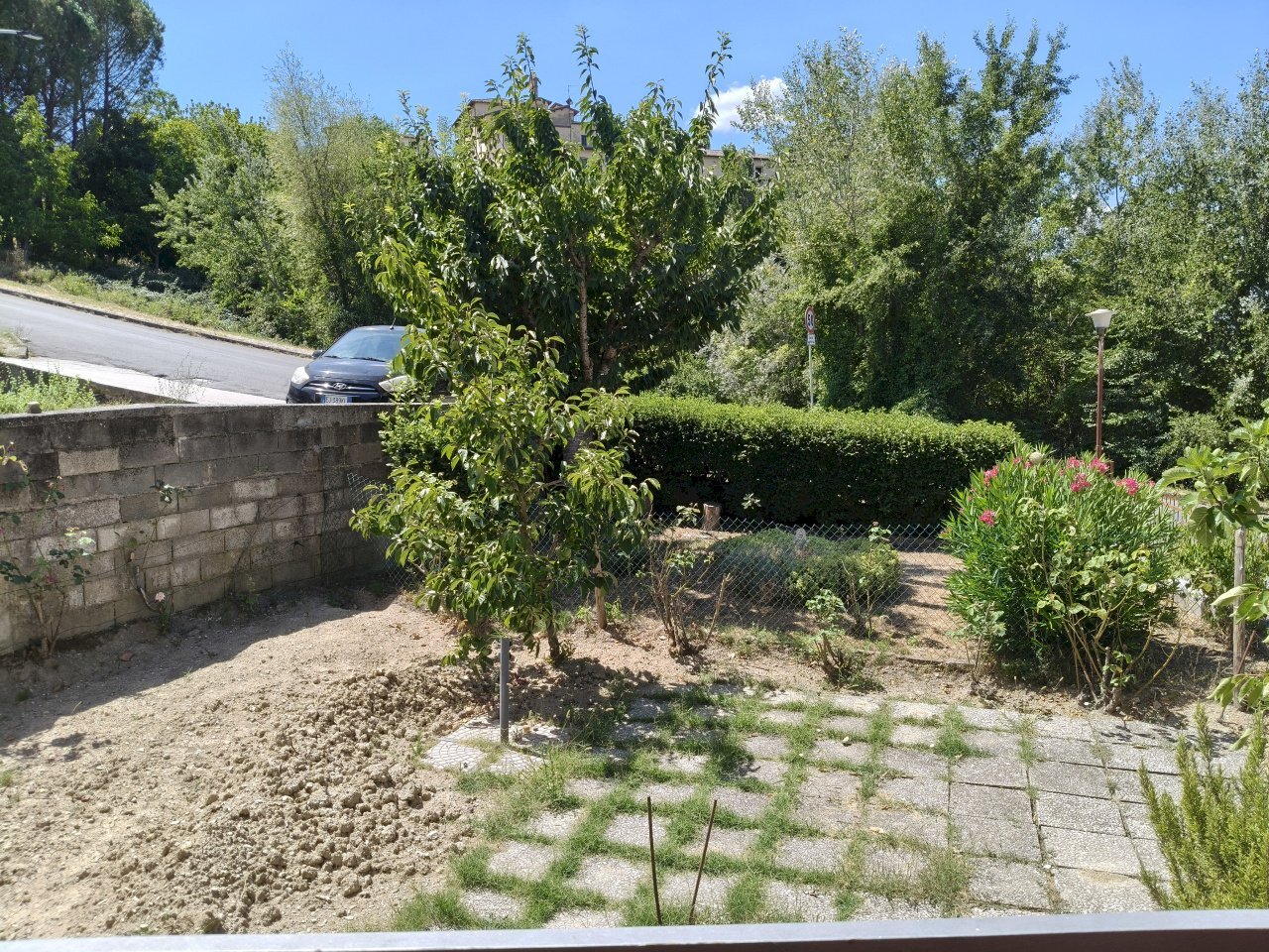 IMG20260724115743 - Apartment Via Agostino Arcangeli Carosi 12, Montecastrilli - photo 3