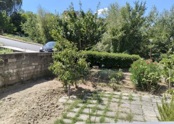 IMG20260724115743 - Apartment Via Agostino Arcangeli Carosi 12, Montecastrilli - photo 3
