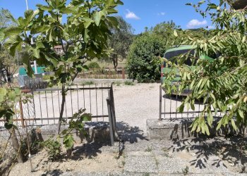IMG20260724115843 - Apartment Via Agostino Arcangeli Carosi 12, Montecastrilli - photo 6
