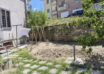 IMG20260724115904 - Apartment Via Agostino Arcangeli Carosi 12, Montecastrilli - photo 7